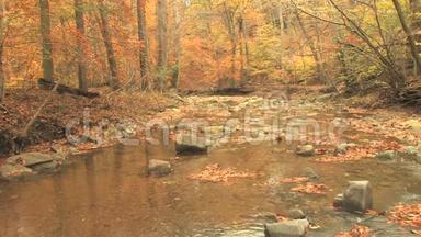 落基溪在秋天的树林里